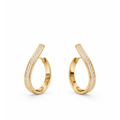Stella Hoops